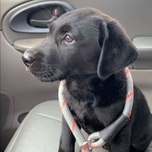 Meet your Posher, Kasey